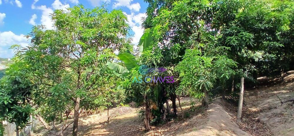 Chácara, 2 quartos, 2685 m² - Foto 1