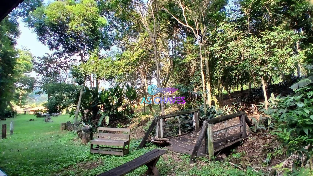 Chácara, 5 quartos, 2 hectares - Foto 14