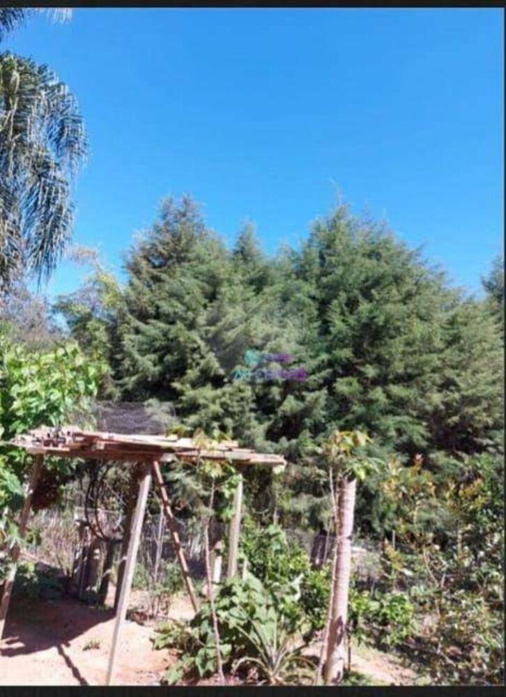 Chácara, 1 quarto, 1344 m² - Foto 2