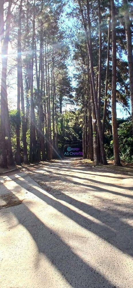 Chácara à venda com 4 quartos, 350m² - Foto 3