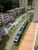 Apartamento, 1 quarto, 29 m² - Foto 4