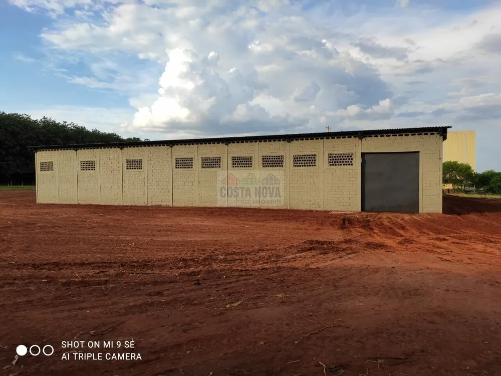 Terreno, 3 hectares - Foto 6