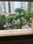 Apartamento, 2 quartos, 80 m² - Foto 2