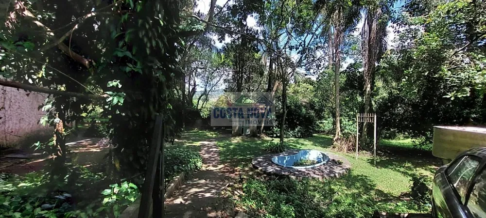 Casa, 4 quartos, 520 m² - Foto 6