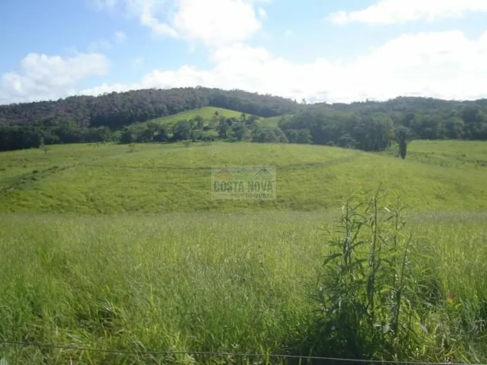 Terreno, 19 hectares - Foto 7