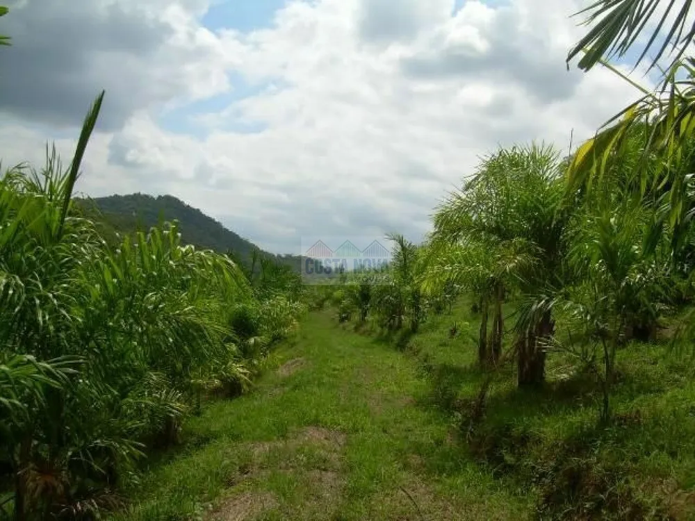 Terreno, 19 hectares - Foto 14
