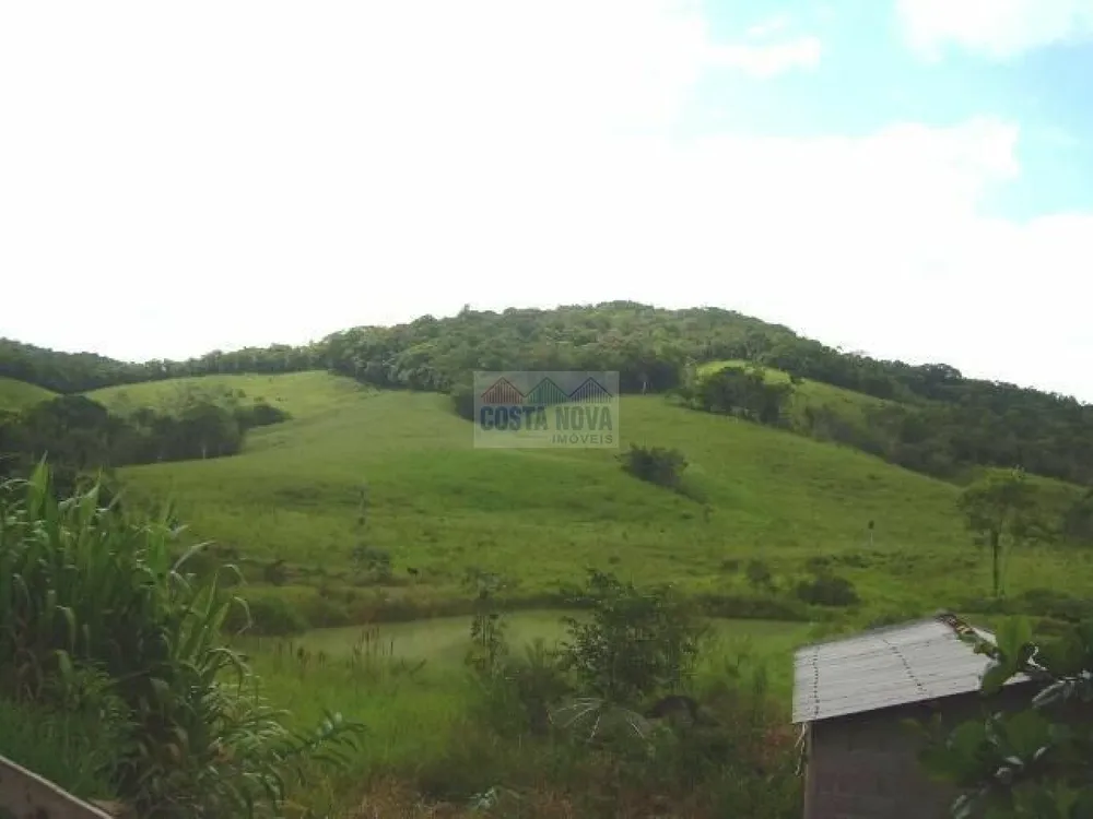 Terreno, 19 hectares - Foto 13