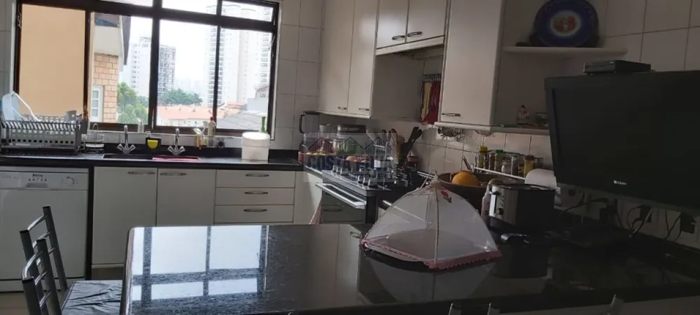 Casa, 4 quartos, 373 m² - Foto 16