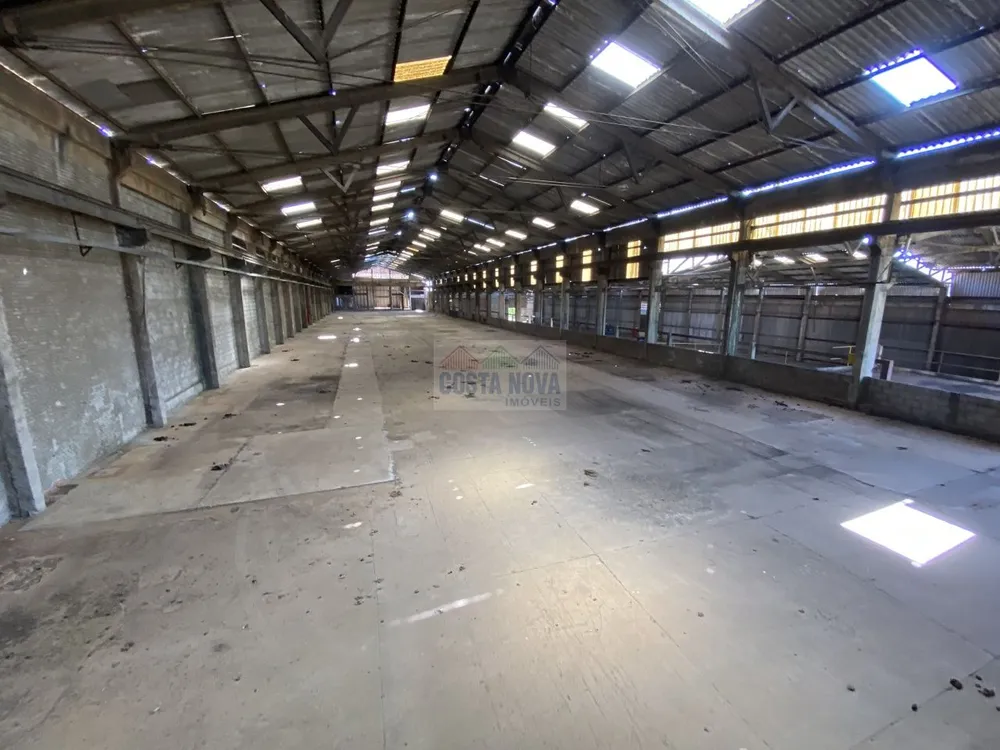Terreno, 15 hectares - Foto 11