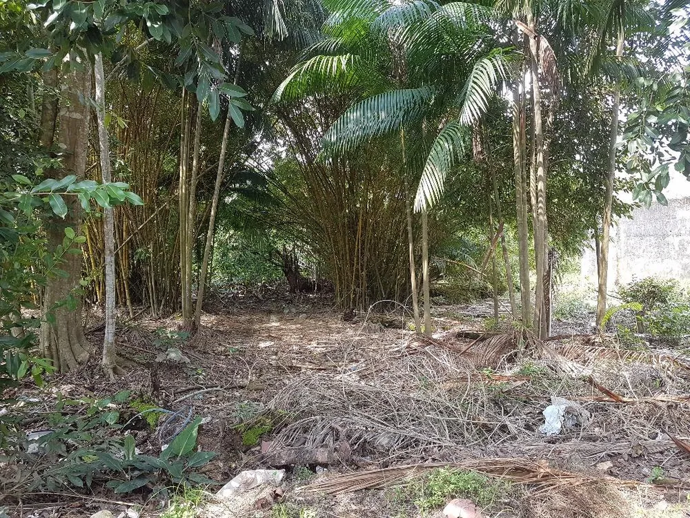 Loteamento e Condomínio, 585 m² - Foto 4