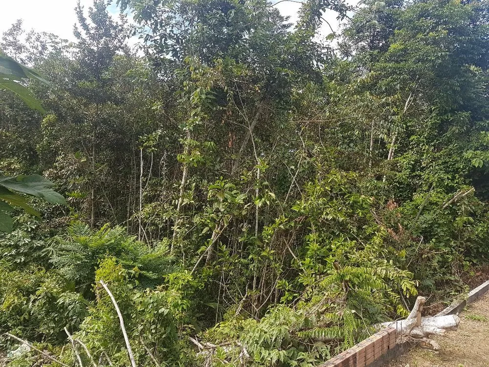 Loteamento e Condomínio, 491 m² - Foto 5