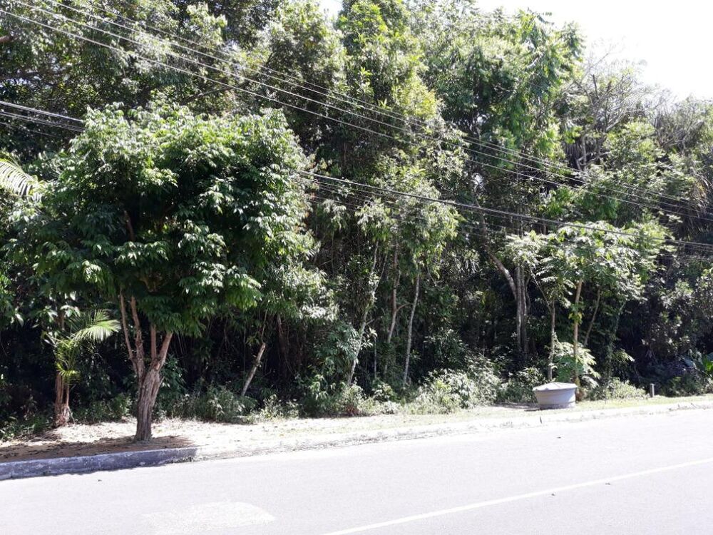 Terreno, 1250 m² - Foto 2