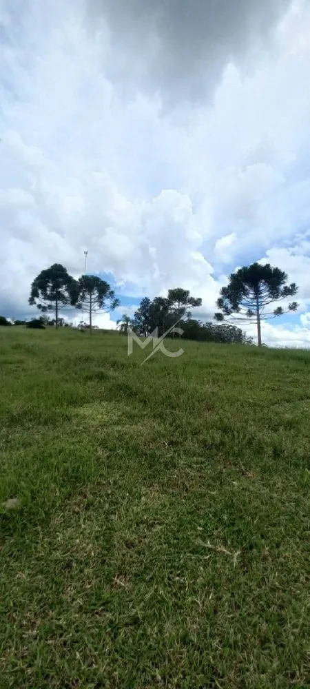 Fazenda - Foto 4