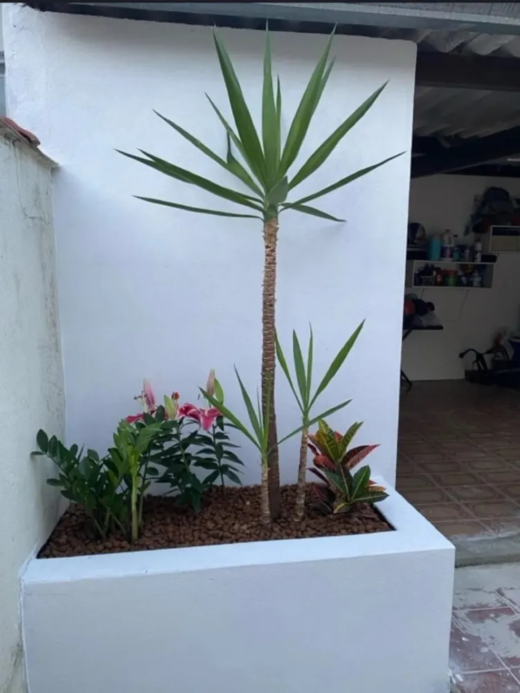 Casa, 2 quartos - Foto 4