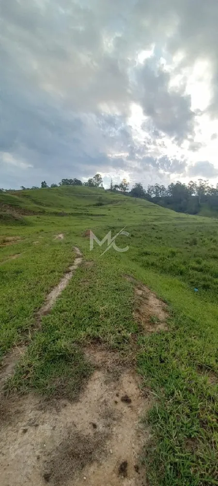 Terreno - Foto 2