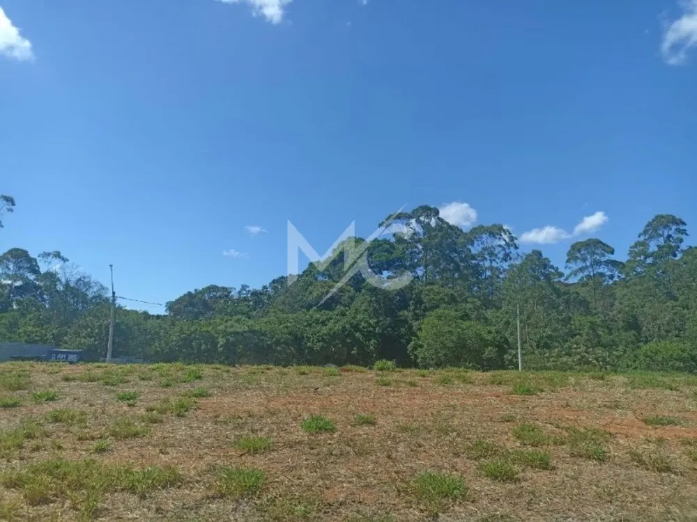 Terreno, 238 m² - Foto 5