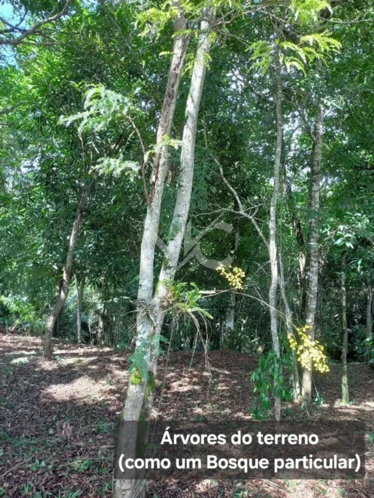 Terreno, 1361 m² - Foto 8