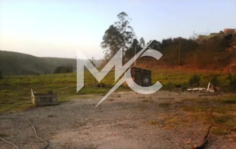 Terreno - Foto 4