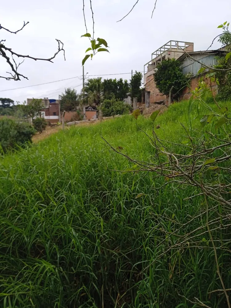 Terreno, 4379 m² - Foto 1