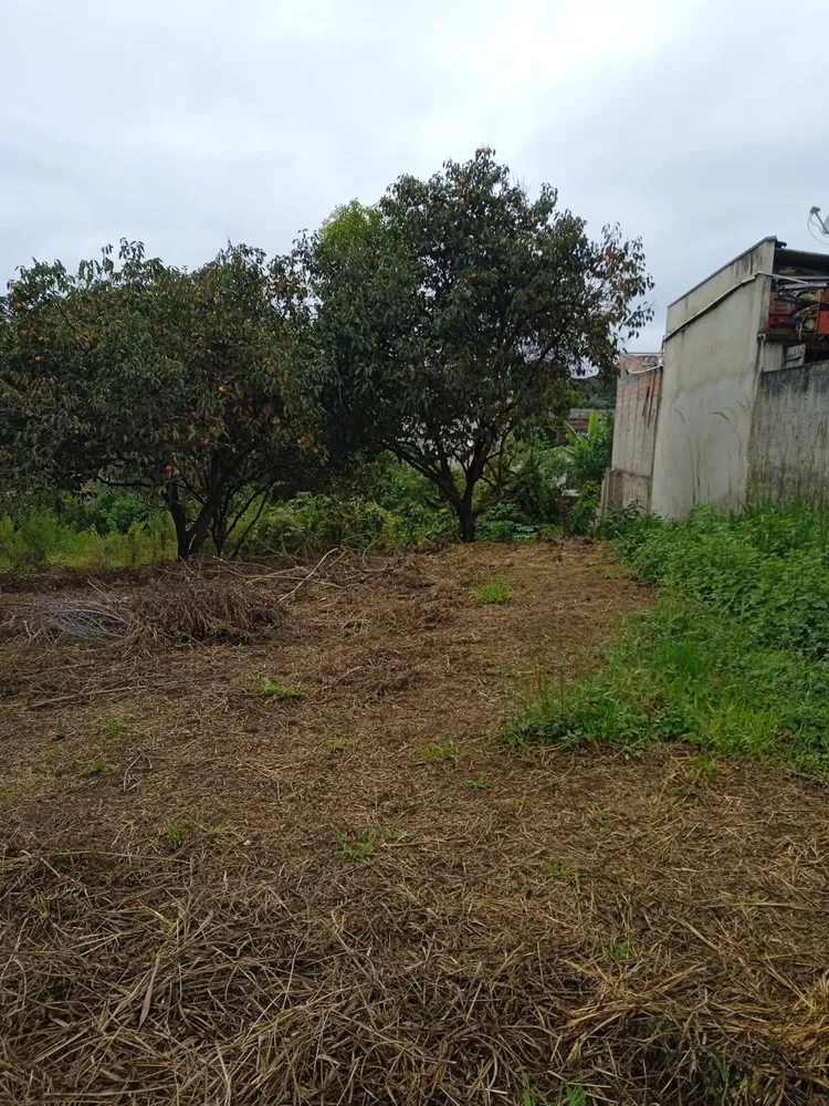 Terreno, 4379 m² - Foto 4