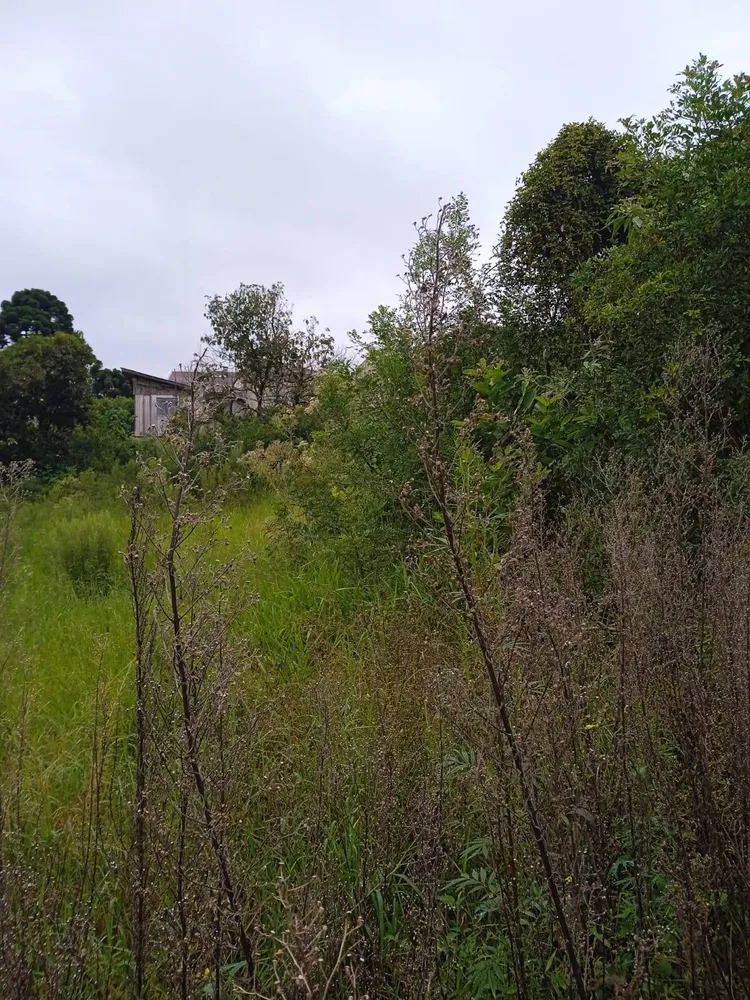 Terreno, 4379 m² - Foto 8