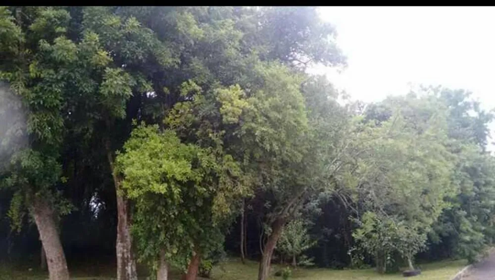 Terreno, 178 m² - Foto 6