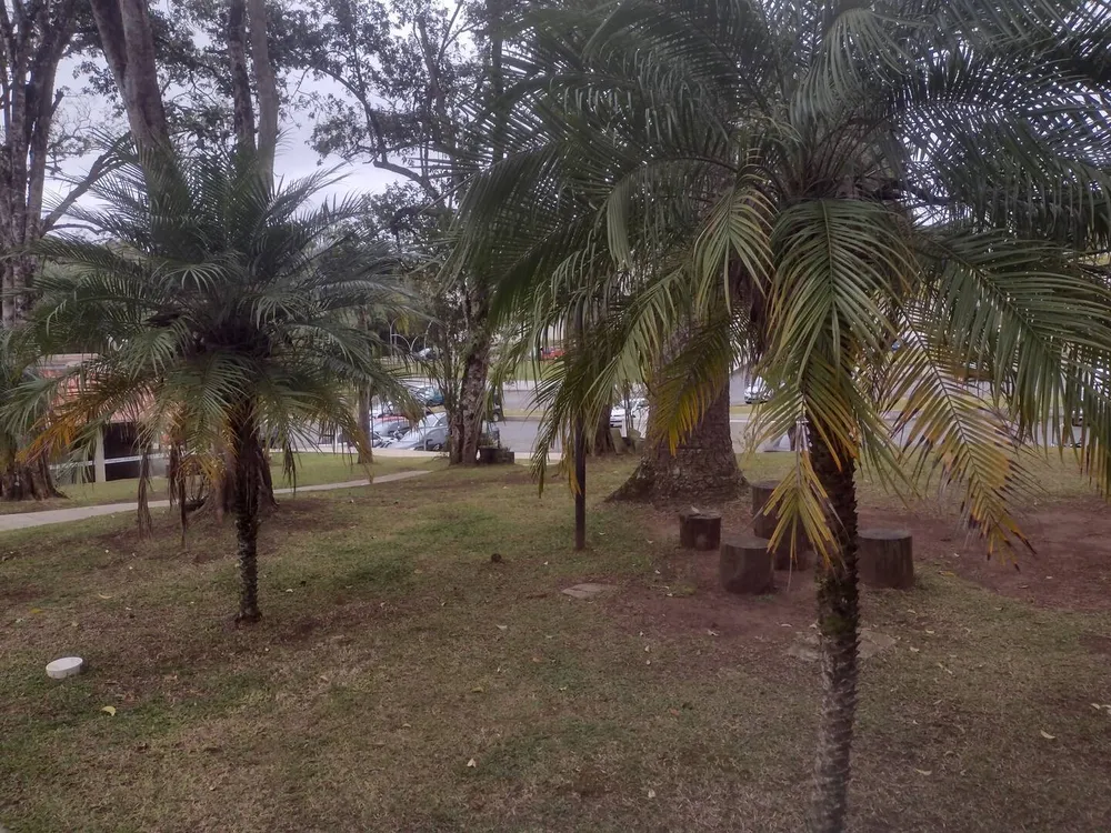 Apartamento, 2 quartos, 44 m² - Foto 9