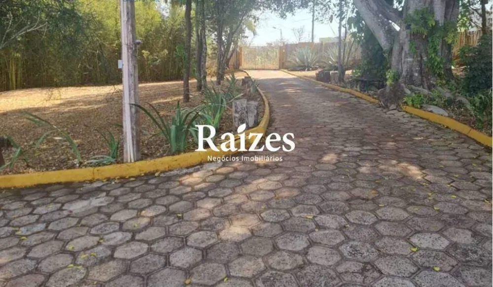 Sítio, 5 quartos, 10000 m² - Foto 3