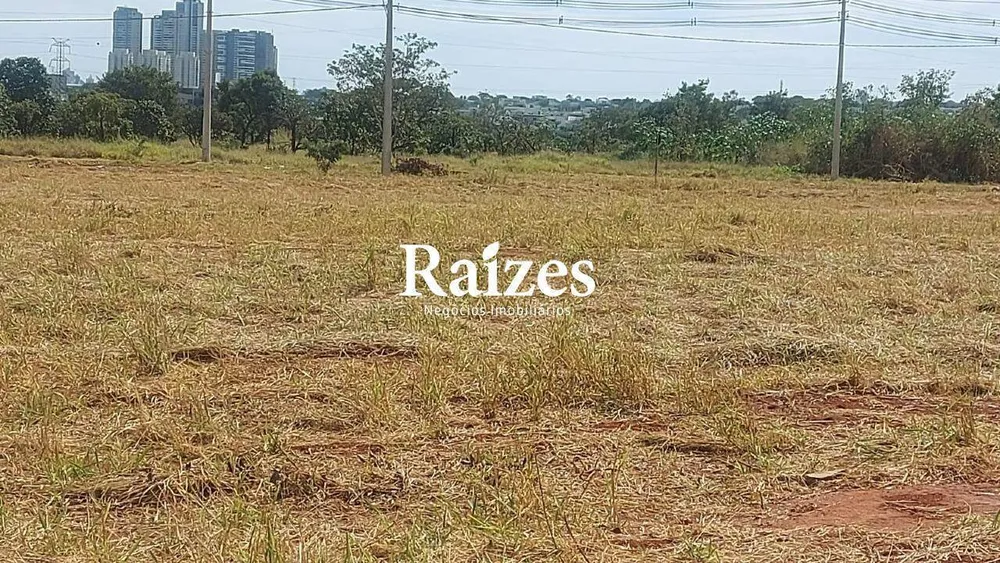 Terreno, 250 m² - Foto 1