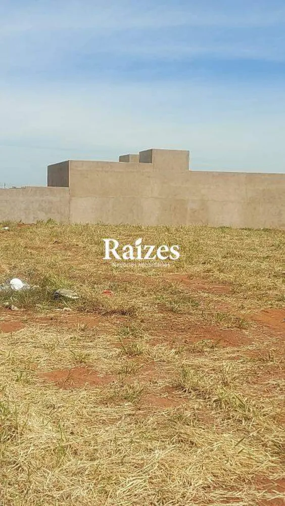 Terreno, 250 m² - Foto 3