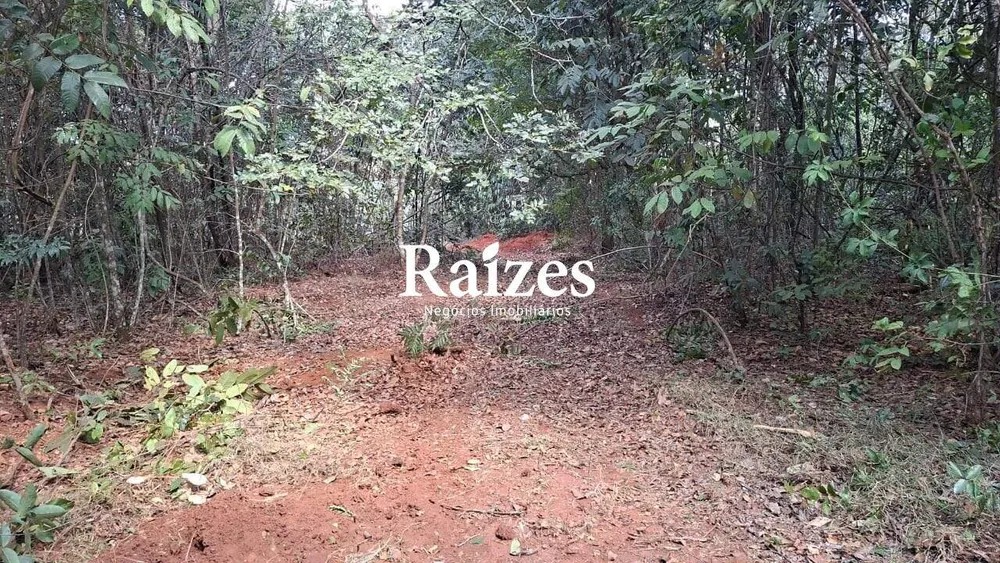 Chácara, 3 hectares - Foto 1