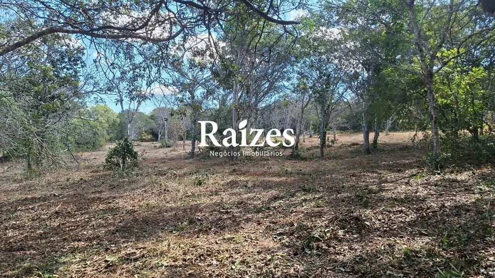 Chácara, 3 hectares - Foto 3