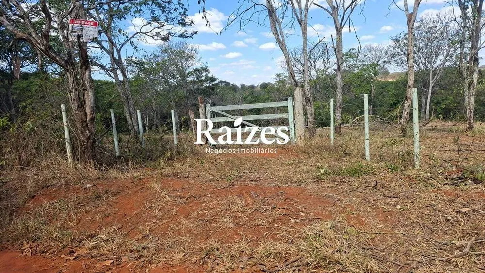 Chácara, 3 hectares - Foto 4