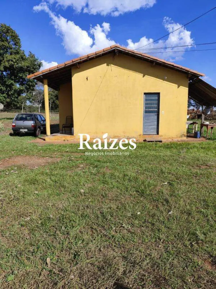 Fazenda, 62 hectares - Foto 3