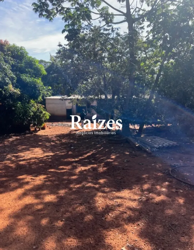 Chácara, 3 quartos - Foto 2