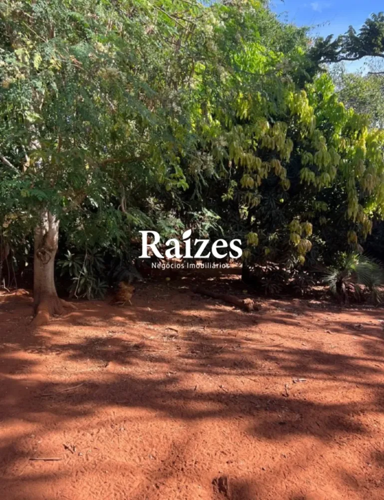 Chácara, 3 quartos - Foto 1