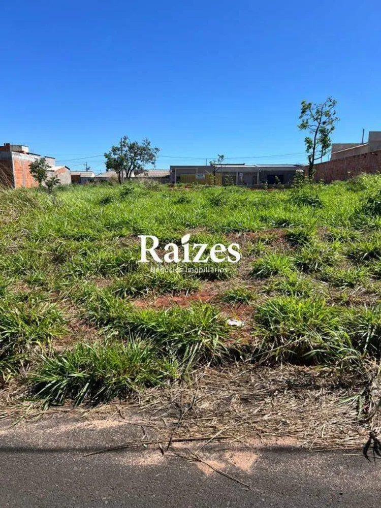 Terreno, 250 m² - Foto 4