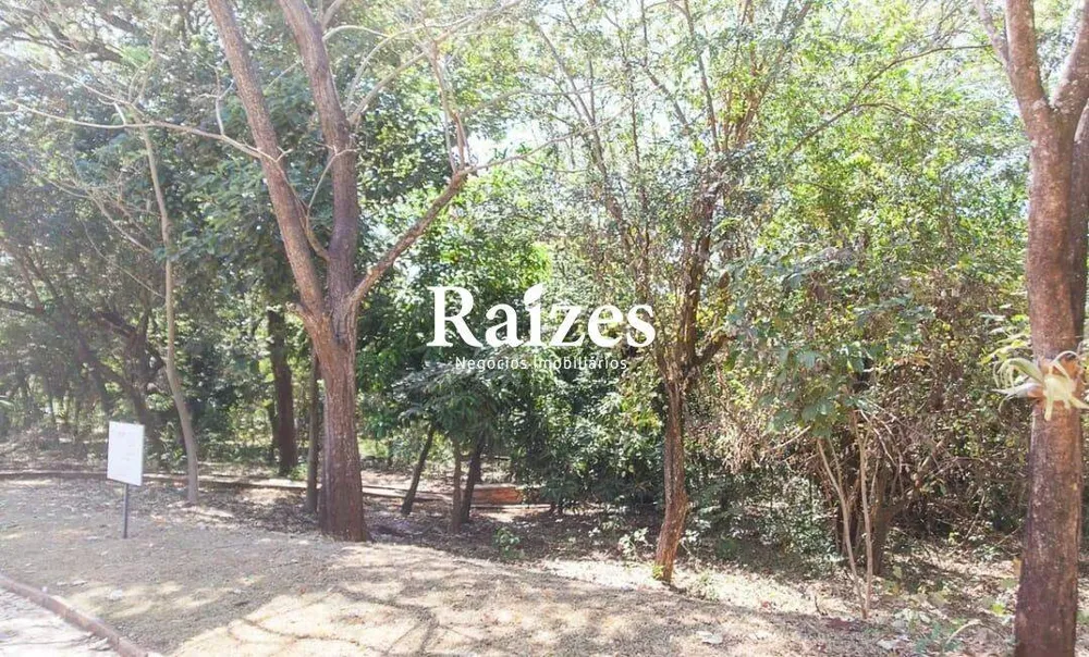 Terreno, 385 m² - Foto 4