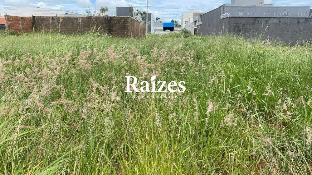 Terreno, 250 m² - Foto 1