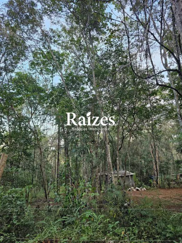 Terreno, 1708 m² - Foto 4
