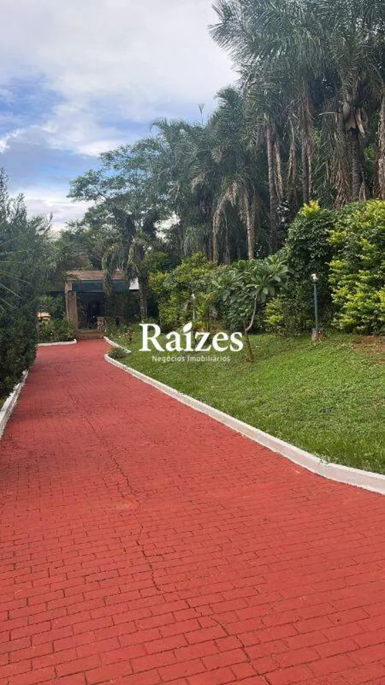 Sítio, 3 quartos, 5000 m² - Foto 1