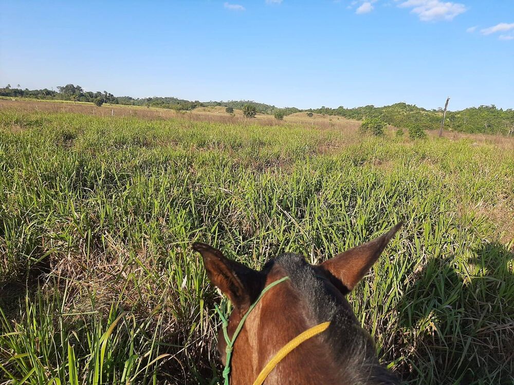 Terreno, 27 m² - Foto 9