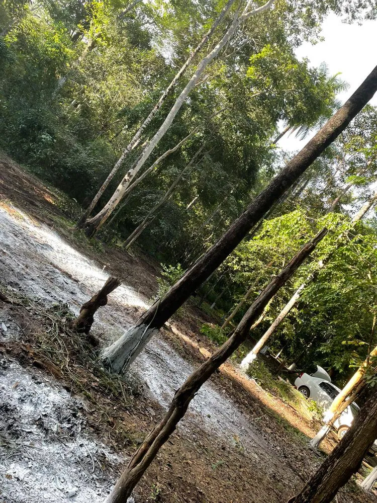 Terreno, 8 hectares - Foto 7