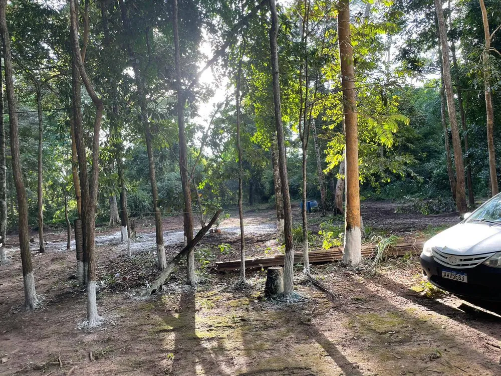 Terreno, 8 hectares - Foto 3