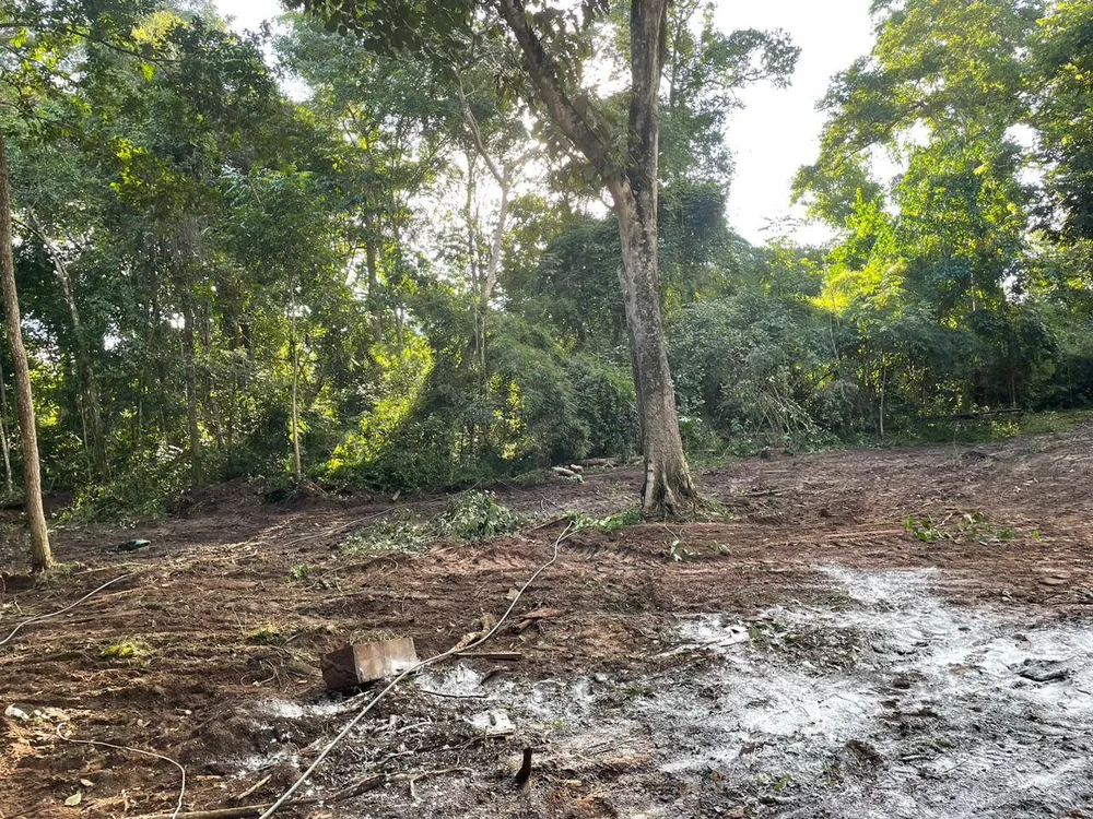 Terreno, 8 hectares - Foto 6