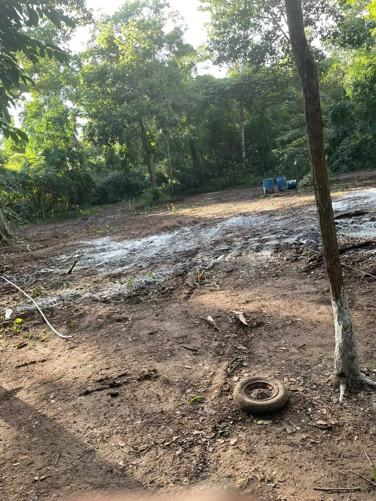 Terreno, 8 hectares - Foto 8