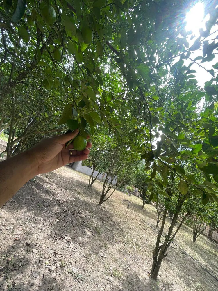 Terreno, 4700 m² - Foto 2