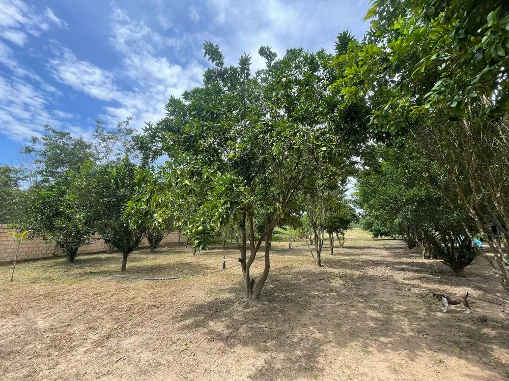 Terreno, 4700 m² - Foto 3