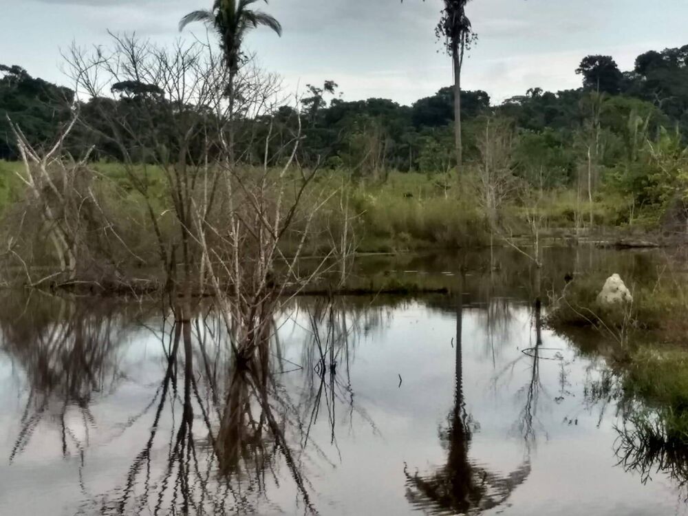 Terreno, 6000 m² - Foto 8