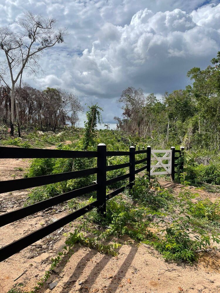 Terreno, 6000 m² - Foto 2